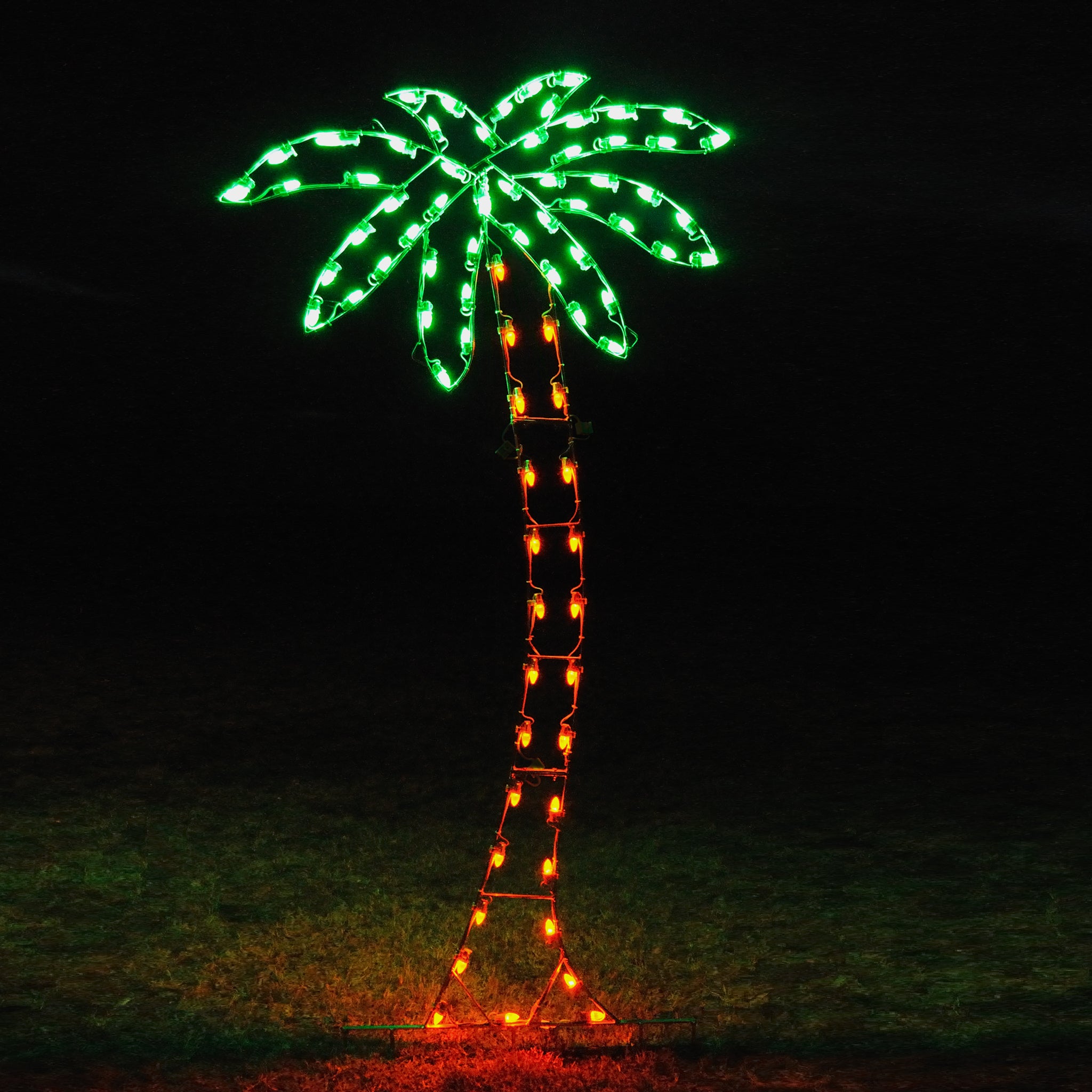 palm plant with bulb Rope Light Palm Tree Motif, Outdoor LED Lighted Palm Trees – HolidayLights.com