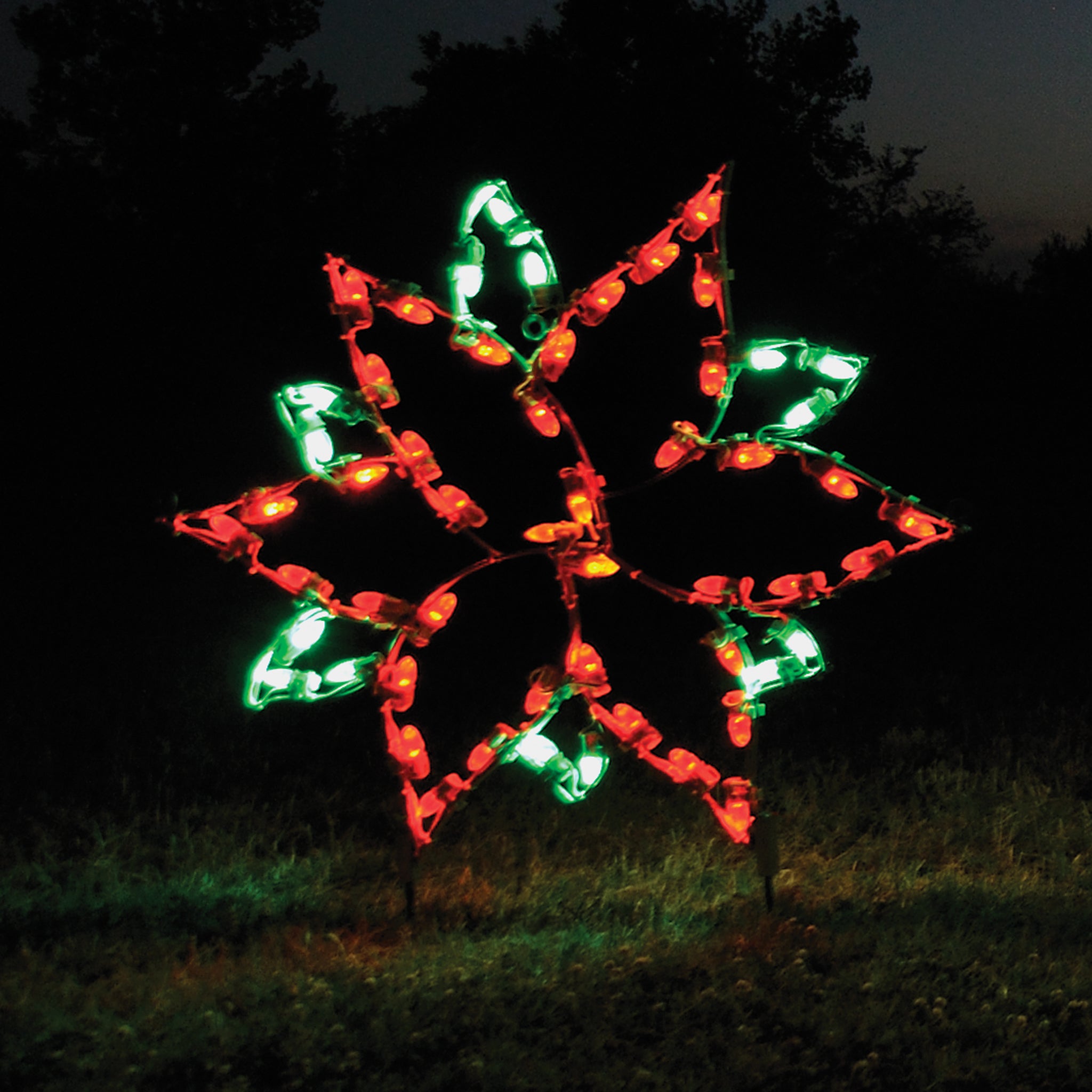 christmas lights for indoor plants Small Poinsettia Outdoor Christmas Lights – HolidayLights.com