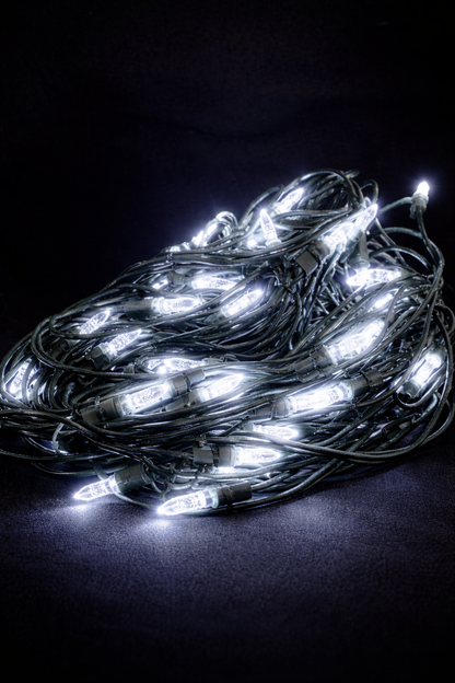 5MM LED Net Light (9055-P)