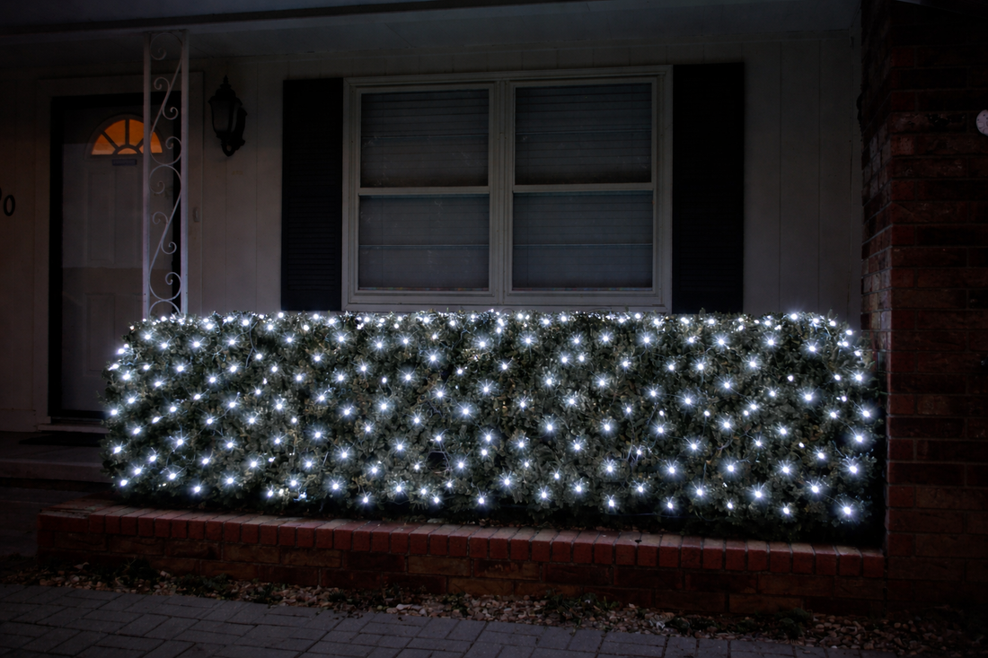 M5 LED Cool White Net Lights (3251-P)