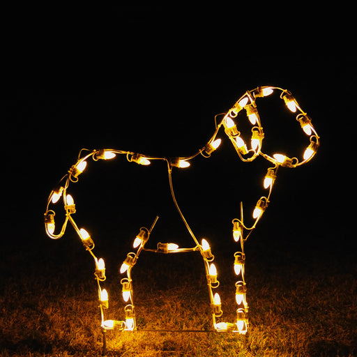 outdoor, indoor, LED, lights, quality, durable, commercial-grade, light motif, Christmas, holiday decoration, 2021, religious, nativity, lamb, sheep