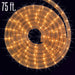 75 feet LED Warm White Rope Light, Tree and Building lighting, Christmas, Holiday outdoor decoration