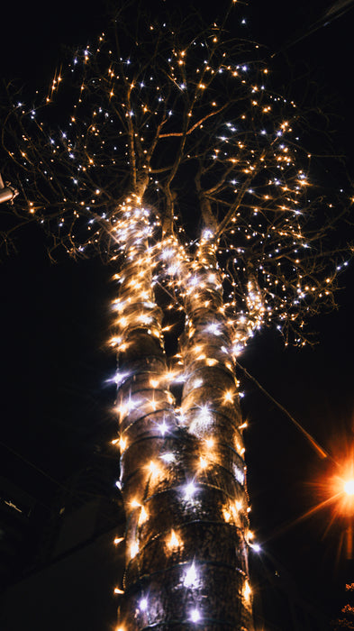 2022 Christmas Lights LED Tree Wrap Professional Christmas Decorating