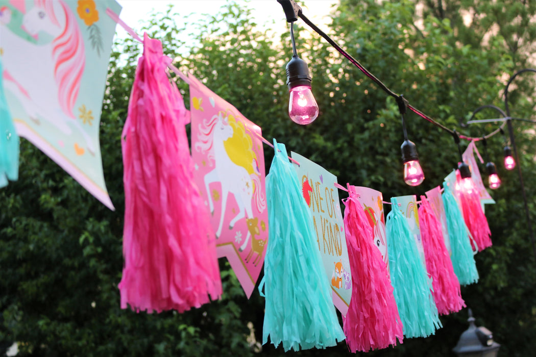 outdoor, indoor, pink, LED, bulb, string lights, lights, quality, durable, replacement, E26, 2021, banner, unicorn, party, girls, theme