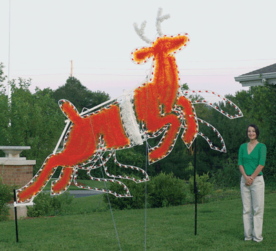Daytime view, life sized, Christmas holiday outdoor motif, commercial grade, lead reindeer, Rudolph, C7 LED bulbs, aluminum frame, Santa's sleigh, animated, 2021